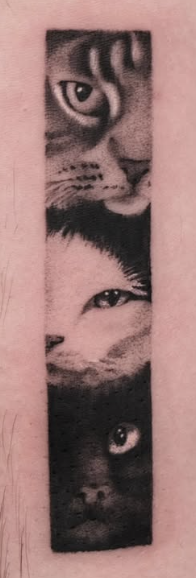Shaded tattoo of three cat faces stacked in a narrow vertical panel