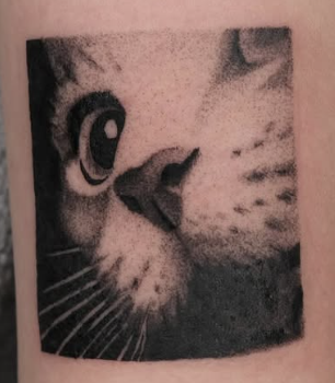 Shaded close-up tattoo of a cat face