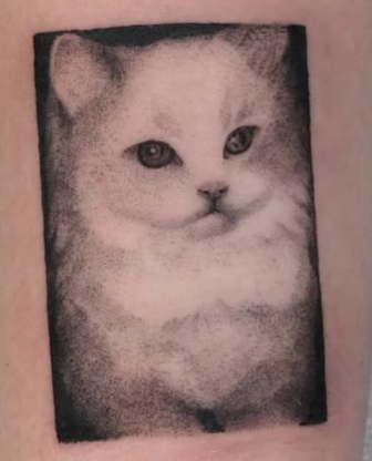 Shaded portrait tattoo of a fluffy white cat